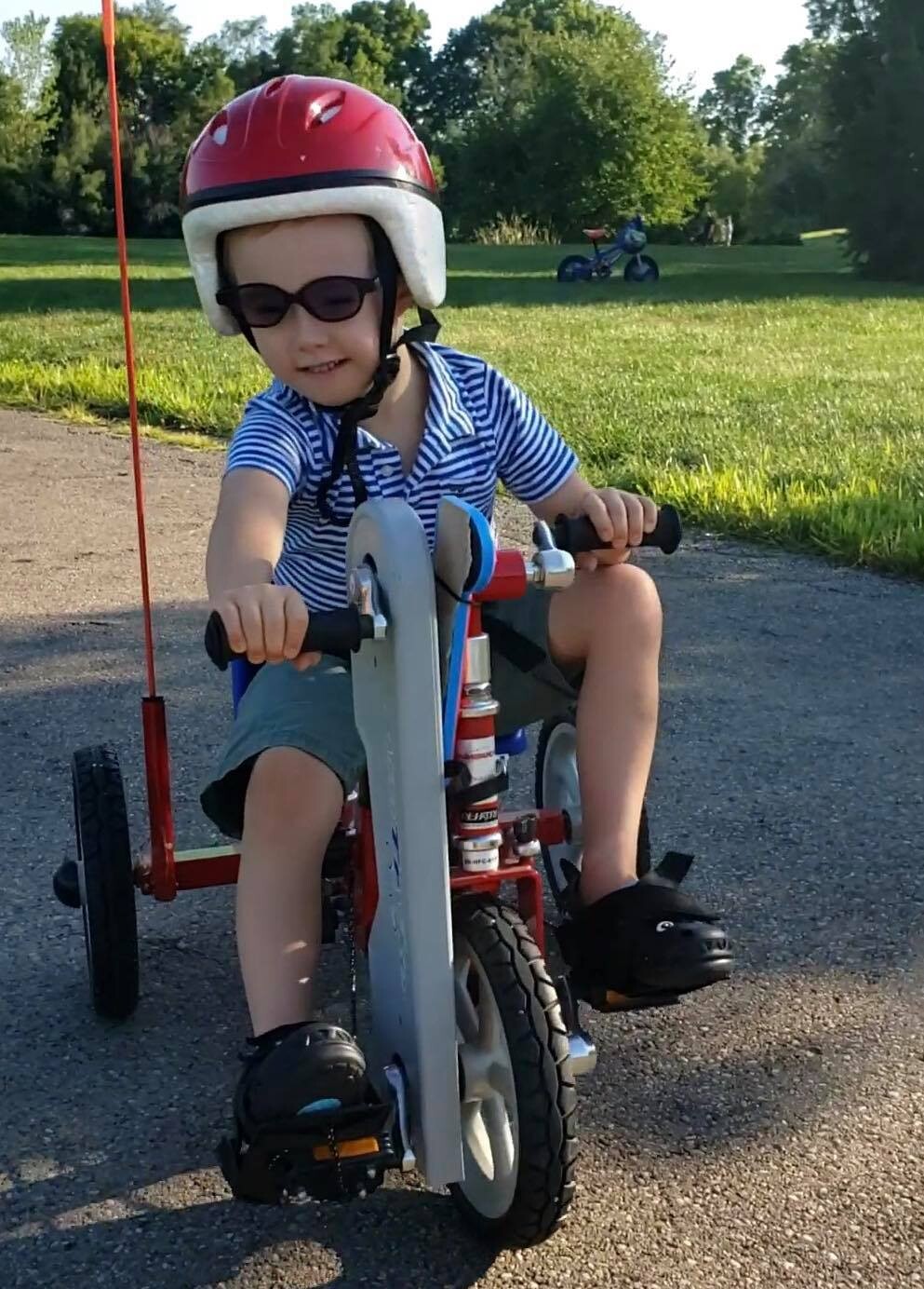 Campaign cover image for Walk / Ride a Mile for Greenebucs