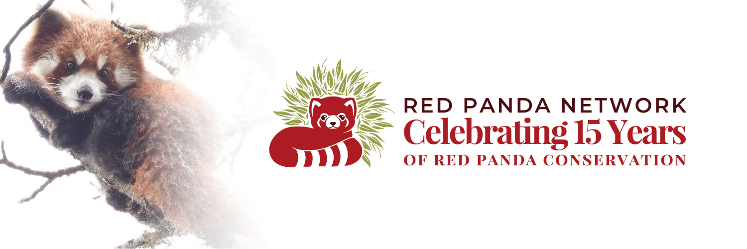 Campaign cover image for International Red Panda Day 2022